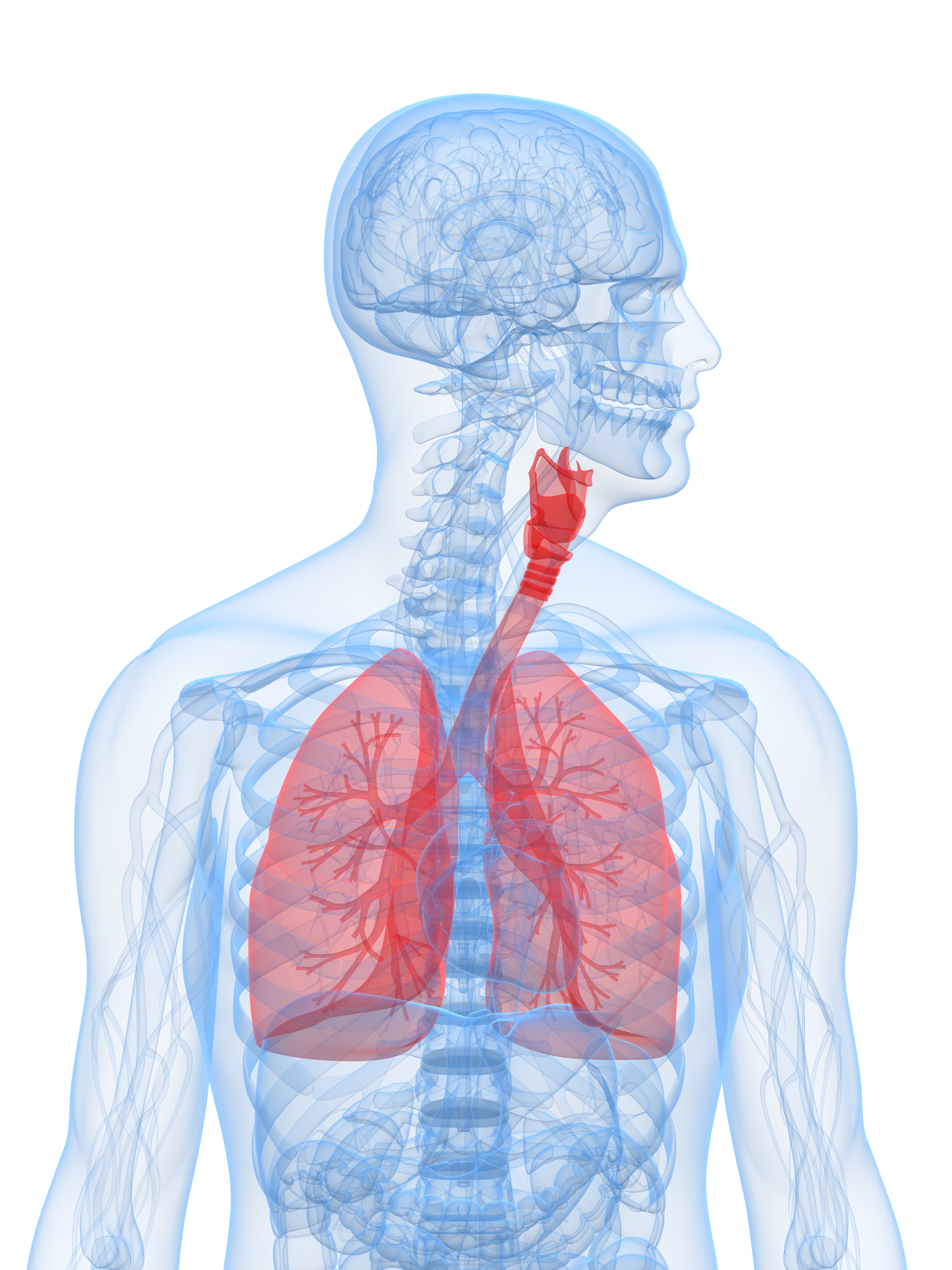 Illustration of lung showing cancer