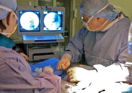 Photo of two doctors operating